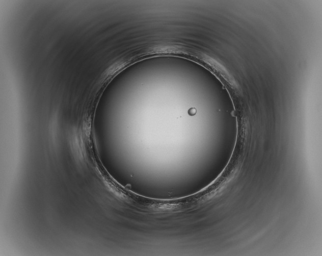 X0000116660841200912141319