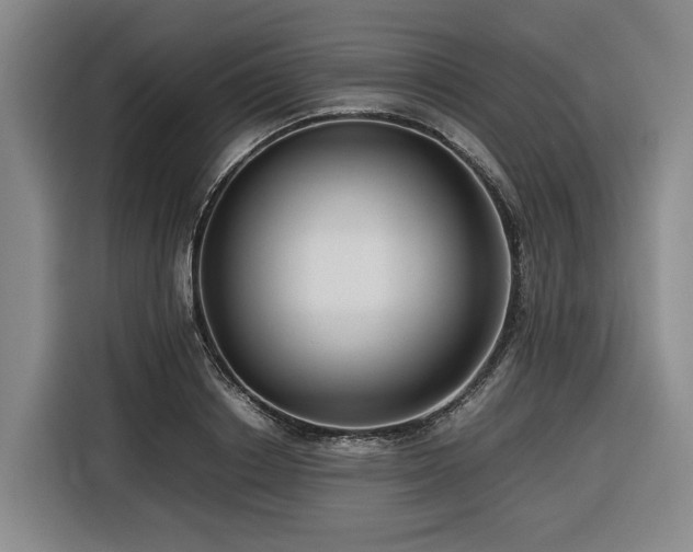 X0000116660842200912141319