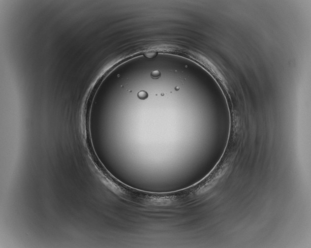 X0000116660843200912141319