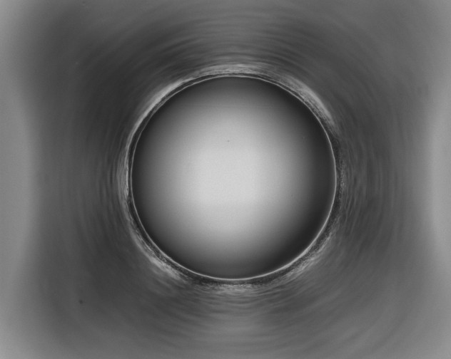 X0000116660844200912141319