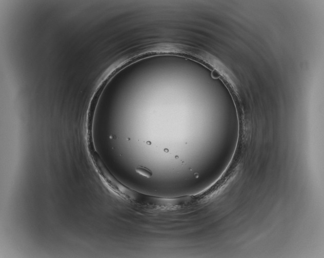 X0000116660845200912141319