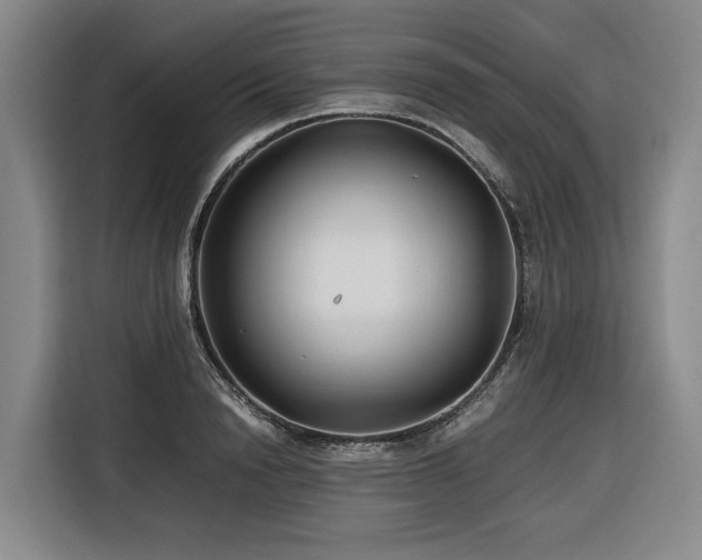 X0000116660846200912141319