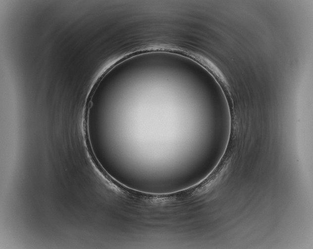 X0000116660847200912141319