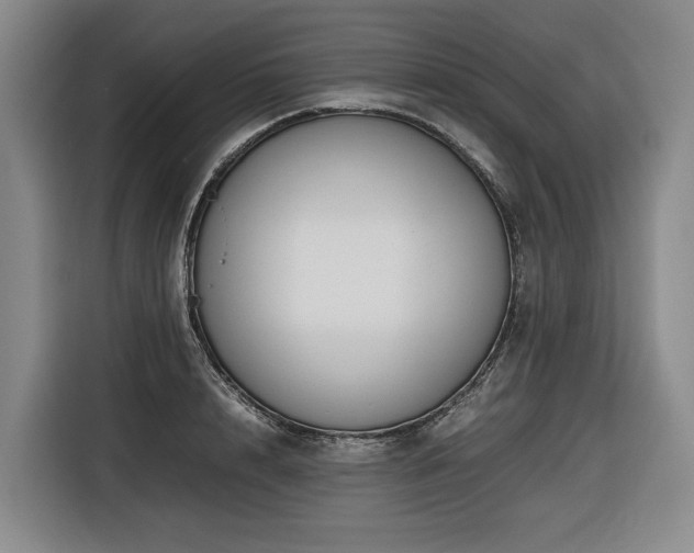 X0000116660848200912141319