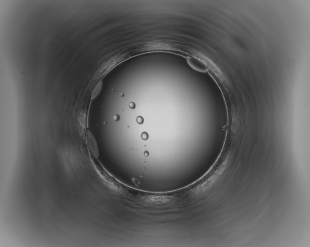 X0000116660849200912141319