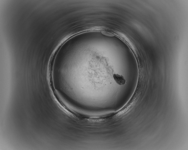 X0000116660851200912141319