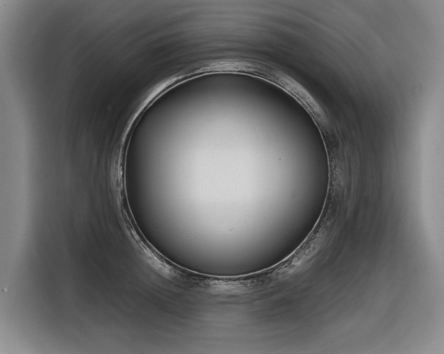 X0000116660852200912141319