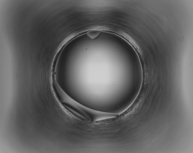 X0000116660853200912141319