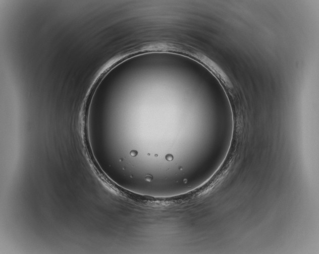 X0000116660854200912141319