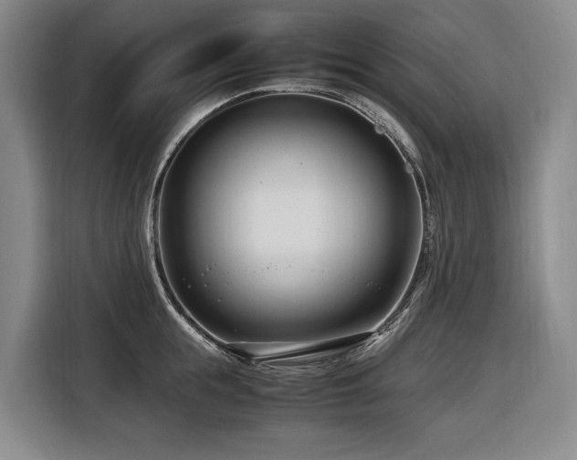 X0000116660855200912141319