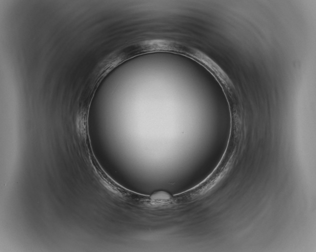 X0000116660857200912141319