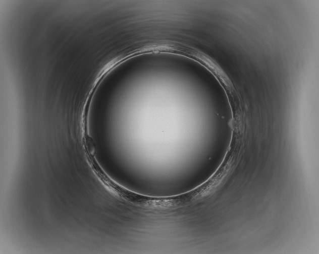 X0000116660858200912141319