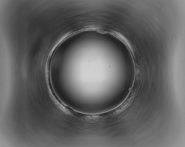 X0000116660859200912141319