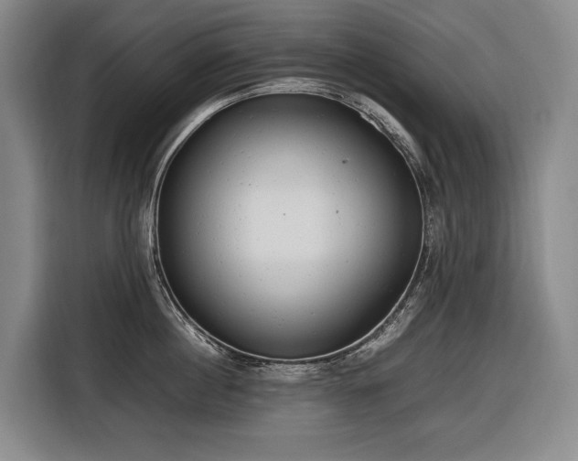 X0000116660860200912141319