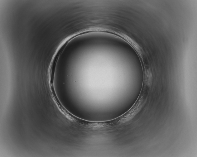 X0000116660862200912141319