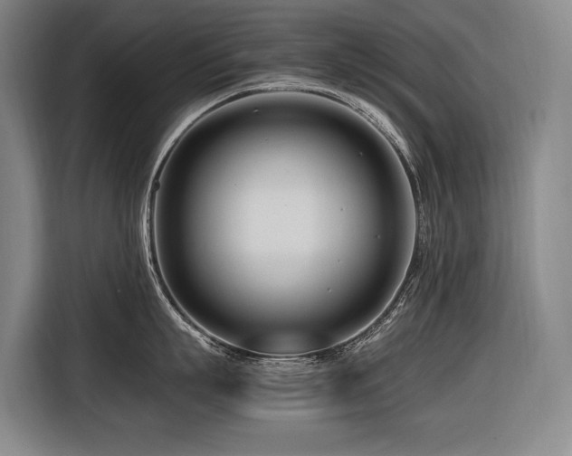 X0000116660863200912141319