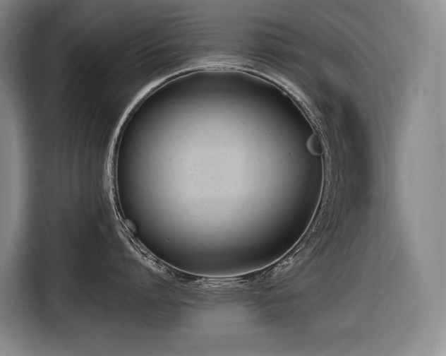 X0000116660864200912141319