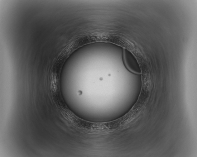 X0000116660866200912141318