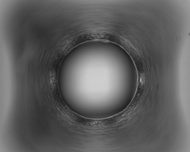 X0000116660867200912141318