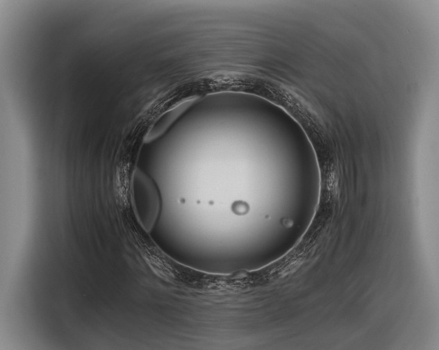 X0000116660868200912141318