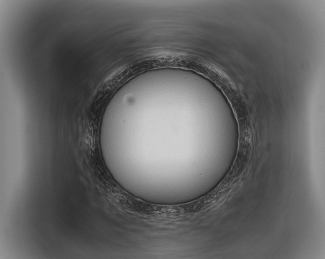 X0000116660869200912141318