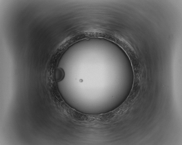 X0000116660870200912141318