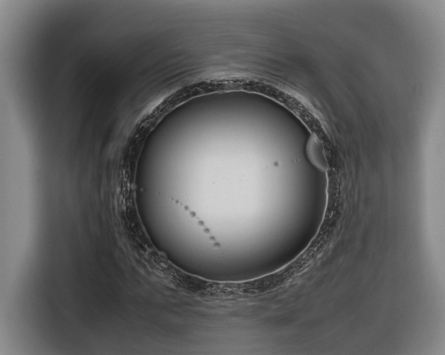 X0000116660871200912141318