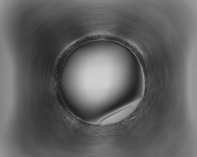 X0000116660872200912141318