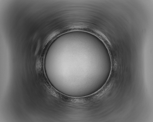 X0000116660874200912141318