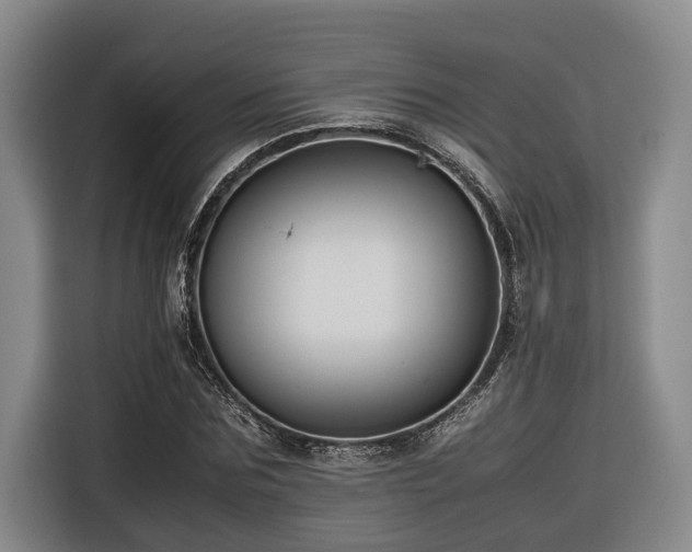 X0000116660875200912141318