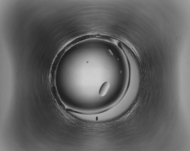 X0000116660876200912141318