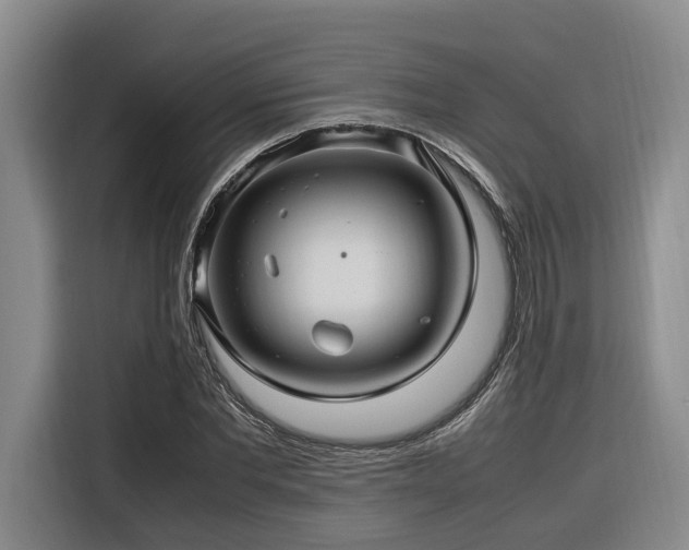 X0000116660877200912141318