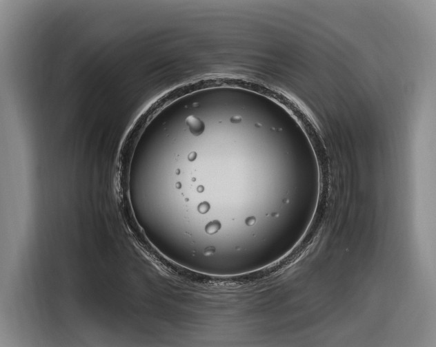 X0000116660878200912141318