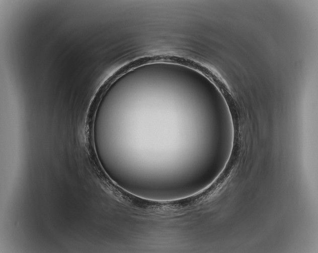 X0000116660879200912141318