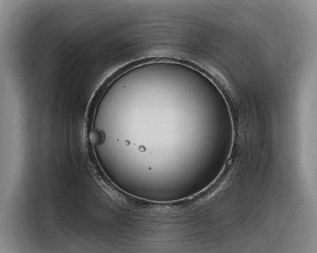 X0000116660880200912141318