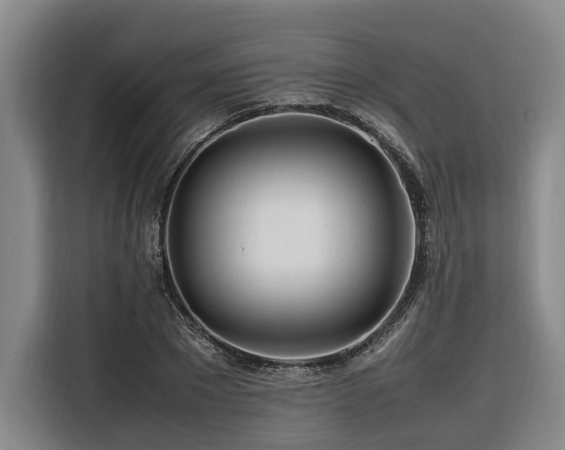 X0000116660881200912141318