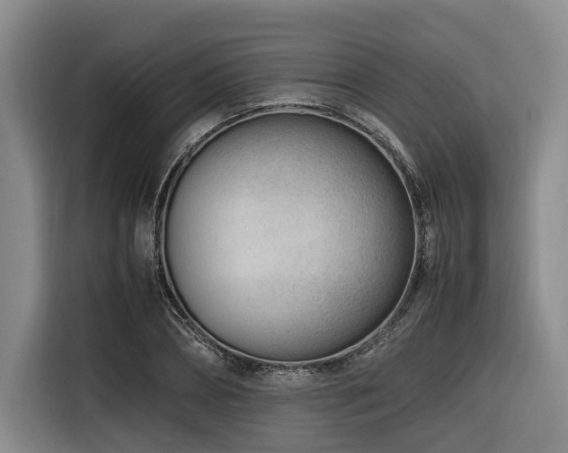 X0000116660882200912141318