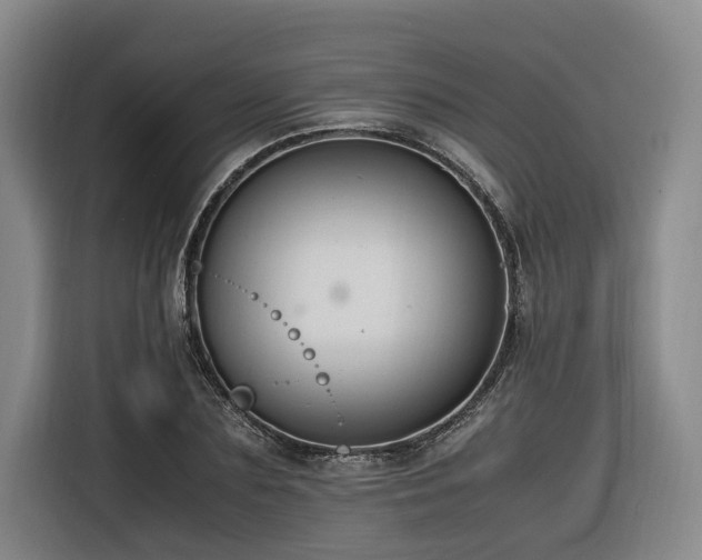 X0000116660883200912141318