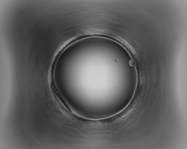 X0000116660885200912141318