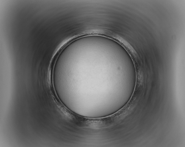 X0000116660886200912141318