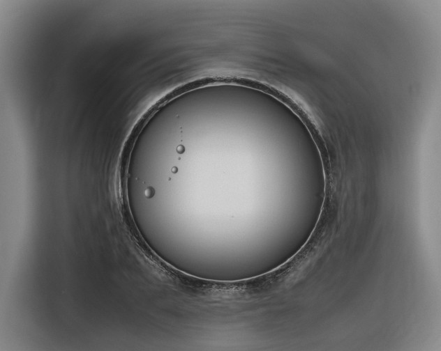 X0000116660887200912141318