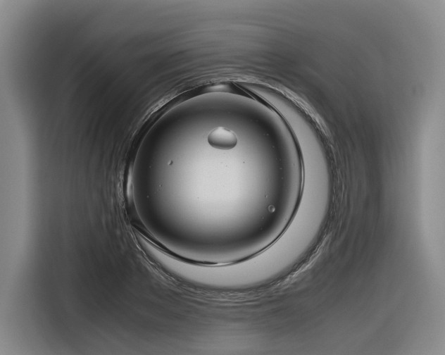 X0000116660889200912141318