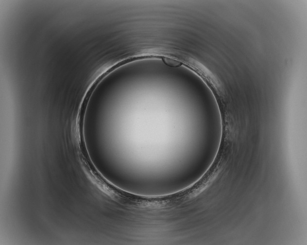 X0000116660892200912141318