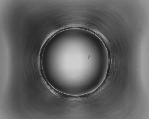 X0000116660894200912141318