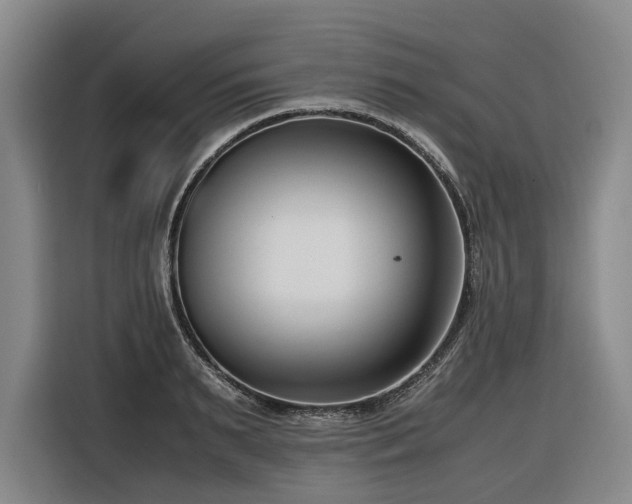 X0000116660895200912141318