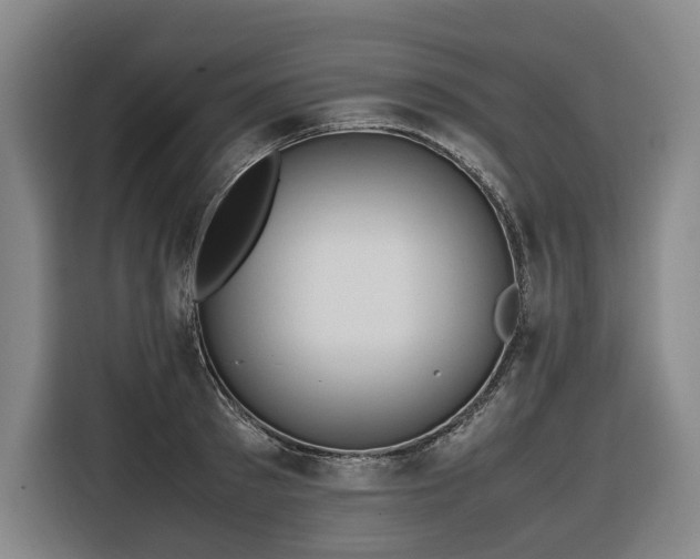 X0000116660897200912141318