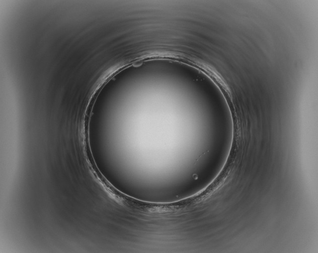 X0000116660898200912141318