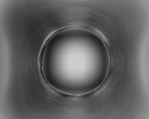 X0000116660899200912141318