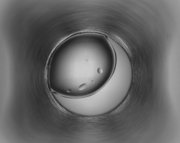 X0000116660900200912141318