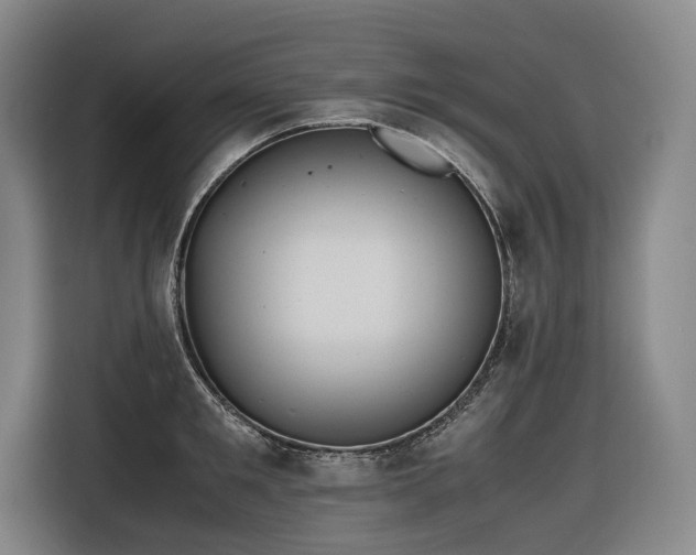 X0000116660901200912141318